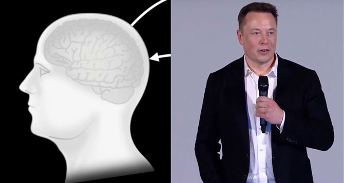 Elon Musk - bilionário excêntrico dono da Neurolink